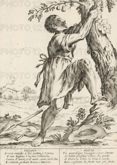 A bold man, The twenty-four hours of human happiness, Le Ventiquattr'Hore dell'humana felicità, print, Series number, 11, 24, A bold young man (Villano), a farm labourer, has laid his sickle and spade on the ground and climbs into a pear tree. With two four-line verses in Italian. Numbered top right: 11. Part of the series 'The Twenty-Four Hours of Human Happiness'., printmaker: Giuseppe Maria Mitelli, 1675, paper, etching, engraving, height 275 mm x width 200 mm, height 394 mm x width 280 mm, farmers, the 24 hours of day and night, scenes symbolizing 'Vanitas', personifications, the life of man, climbing up a tree, A pen-and-ink drawing shows a barefoot man climbing a tree trunk, one leg raised and one arm wrapped around the trunk while the other reaches upward toward a cluster of leaves and fruit; he wears a simple knee-length tunic tied at the waist with a loose sash and his hair is short and textured, his face turned upward with an open mouth and visible profile. The tree has a gna...