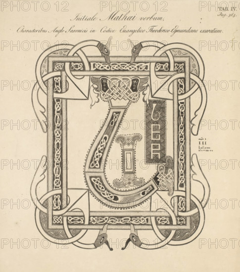 Initiale Mathaei verbum, characteribus Anglo-Saxonicis in codice evangelico Theoderico-Egmundano exaratum, Initial from the Gospel according to Matthew in a manuscript in the Abbey of Egmond, print, printmaker: Christian Anthony Lotter, publisher: Johannes Allart, Amsterdam, 1812, paper, etching, height 242 mm x width 212 mm, An ornate black ink decorative design on aged beige paper fills the image, featuring complex interlacing bands, knotwork patterns, and framed rectangular borders with rounded corners; stylized animal head motifs appear at the top and bottom with elongated necks and pointed beaks, and ribbon-like loops weave in and out around the frame; dotted shading and fine hatching add texture to curved and straight elements, and symmetrical ornamental flourishes and leaflike shapes extend from the sides, creating a mirrored, highly detailed composition.