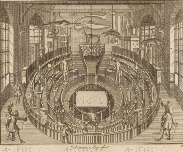 L'Anatomie d'apresent, Het Theatrum Anatomicum te Leiden seen from the inside, print, book illustration, Het Theatrum Anatomicum (anatomical theater) te Leiden seen from the inside, as it looked at the time of the publication of this print (1712). Various people are present in the room, and skeletons of humans and animals are displayed. Stuffed animals hang from the ceiling. Numbered bottom right: 8., publisher: Pieter van der Aa (I) (possibly), Leiden, 1712, printmaker, paper, etching, height 138 mm x width 167 mm, Print also used in: Les delices de Leide, une des célébres villes de l'Europe, here contiennent une description exact de son antiquité, des diverse aggrandissemens, de son académie, des manufactures, des curiosités, Leiden: Pieter van der Aa, 1712., dissecting-room, 'theatrum anatomicum', university, Theatrum Anatomicum, A large vaulted interior with high arched windows and patterned walls contains a circular tiered wooden structure with concentric benches and railings surr...
