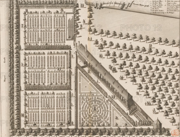 Hortus Medicus, Map of the Hortus Medicus (Botanical Garden) in Amsterdam, print, book illustration, Map of the Hortus Medicus, or the Botanic Garden, in Amsterdam. In bird's-eye perspective. At the top center a banner with the title. Top right the legend 1-10., 1693 - 1726, printmaker, paper, etching, engraving, height 271 mm x width 351 mm, Print also used in: Commelin, Caspar. Description of Amsterdam, its first origin from the House (…). 2 volumes. Amsterdam: Abraham Wolfgang, Gillis Janssonius van Waesberge, Johannes Janssonius van Waesberge II, widow Dirk Boom I, Hendrick Boom and Rembertus Goethals, 1693. And in: Commelin, being an accurate treatise on its first origin from (…). 2 volumes. Amsterdam: widow Aart Dircksz Oossaan, 1694. And in: Commelin, being an accurate treatise on its first origin from (…). 2 volumes. 2nd edition. Amsterdam: Andries van Damme, Johannes Ratelband, widow A. van Aaltwyk and Hermanus Uytwerf, 1726., botanic garden, 'hortus botanicus', plan, map of g...