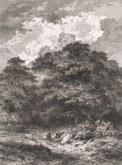 Landscape with two resting figures in front of a forest, print, printmaker: César de Cock, 1850, paper, etching, height 316 mm x width 236 mm, forest, wood, resting, A detailed monochrome drawing of a wooded landscape with dense tree canopies occupying the upper and middle areas, textured foliage and branches rendered with fine crosshatching, a sky filled with layered, billowing clouds above the treetops, a shaded clearing beneath the trees with a small sunlit path or streambed winding forward, two seated figures in the foreground near rocks and low vegetation, one figure leaning forward and the other appearing relaxed, scattered rocks and bushes along the path, and varied shading that creates depth between the foreground, middle ground, and distant trees.