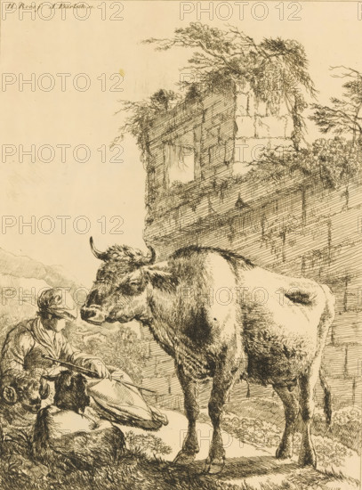 Shepherdess with a ram, a goat, and a cow by a ruin, print, This print is part of an album., printmaker: Adam von Bartsch, Vienna, after print by Johann Heinrich Roos, publisher: Joseph Vincenz Degen, 1805, Johann Heinrich Roos, after print by, Lower Austria, paper, prepared paper, etching, etching on yellow prepared paper, height 219 mm x width 151 mm, herding, herdsman, herdswoman, shepherd, shepherdess, cowherd, goat, cow, ruin of a dwelling, house, castle, A sepia-toned ink illustration showing a large cow standing in front of a thatched roof building, the cow facing to the right with visible horns and textured fur, a person nearby partially obscured holding a long staff and wearing draped clothing, tufts of grass and foliage around the figures, detailed crosshatching and line work throughout the scene, and a wide blank margin surrounding the drawing.