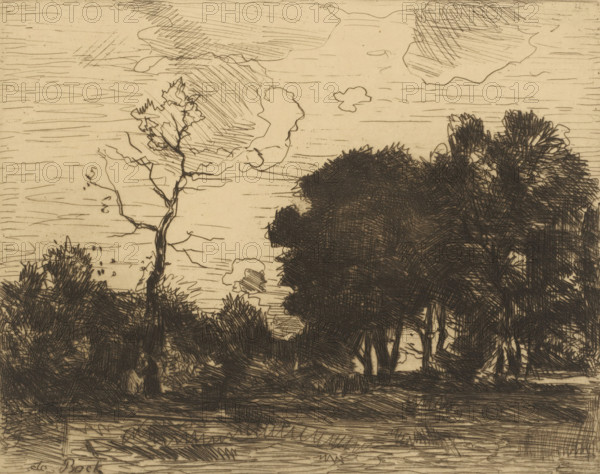 Landscape at Night, print, Landscape in silhouette, with a group of trees on the right and a figure among bushes on the left., signature: 'de Bock', printmaker: Théophile de Bock (signed by artist), c. 1861 - in or before 1904, ink, materials by function, paper, printing ink, etching, drypoint, etching and drypoint, height 159 mm x width 196 mm, height 179 mm x width 217 mm, A sepia-toned sketch shows a landscape with a sky filled with stylized clouds and horizontal hatch marks, a thin, twisting tree with sparse angular branches rising on the left, and a dense cluster of darker, heavily cross-hatched trees and foliage occupying the right and central foreground; the ground in front is rendered with horizontal and diagonal lines suggesting grass and shadows, and the overall image is composed of fine ink strokes and varied hatching.