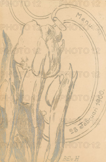 Menu with tulips, print, menu, On the left four tulips. On the right a ribbon with the date February 23, 1900., printmaker: Barbara Elisabeth van Houten, in or before 1900-02, paper, etching, etching in silver-grey, height 180 mm x width 118 mm, width 236 mm, flowers: tulip, A sepia-toned drawing showing a cluster of elongated floral forms with curved petals and long, narrow leaves rendered in fine sketch lines, occupying the left and central areas of the image; a large curved oval frame appears on the right with a small scroll-like element near its top edge, and delicate circular arc lines extend outward from the frame; the drawing has a textured paper background with scattered small specks and subtle shading throughout.