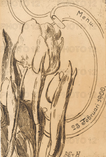Menu with tulips, print, menu, Four tulips on the left. A ribbon with the date February 23, 1900 on the right., printmaker: Barbara Elisabeth van Houten, in or before 1900-02, paper, etching, height 179 mm x width 118 mm, width 236 mm, flowers: tulip, A close-up line drawing of elongated, curved flower petals and leaves rendered in dark ink on a beige background, with delicate crosshatching and fine contour lines defining the slender stems and textured surfaces; an oval shape with a clipped tab appears near the top edge, and a curved border runs along the right side of the image.