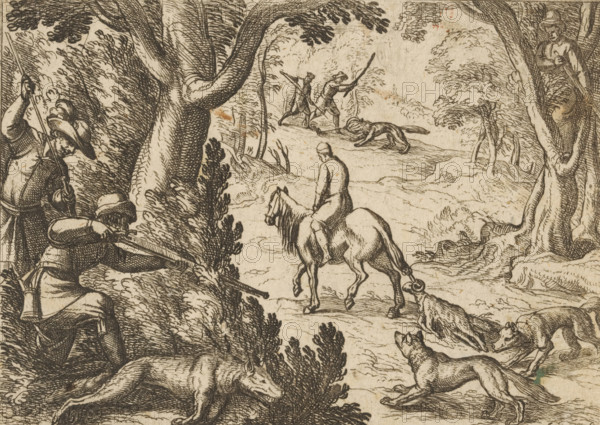 Wolf hunt with a dead ram as bait, Hunting scenes (part 2), Primo libro di caccie varie, print, A man on horseback drags a dead ram through the forest. The dead ram attracts wolves. From behind trees and bushes, hunters aim their rifles at the wolves. Others stab the wolves with spears., printmaker: Antonio Tempesta, Italy, 1598, paper, etching, height 99 mm x width 138 mm, This print is part of a series of 45 hunting scenes (title print and dedication)., hunter, hunters hunting (NB: In 1988-1990 this notation denoted the concept of 43C11421 'hunters resting during the hunt'), hunt, mammals, A monochrome etching shows a wooded clearing with large trees framing the scene and leafy undergrowth. In the foreground a rider faces away atop a horse moving along a winding path. Nearby a group of hounds run and stand alert, some with mouths open. To the left hunters crouch behind vegetation, one aiming a long gun and another holding a spearlike weapon, wearing wide-brimmed hats and period cloth...