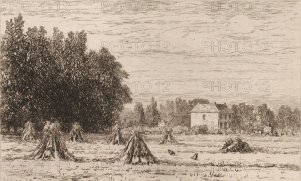 Landscape with sheaves of corn, Le chateau de Noord-Denringen (this Count's House) (original title), Souvenir du Hâvre (original series title), print, In the background stands a horse-drawn carriage next to a house., printmaker: Carel Nicolaas Storm van 's-Gravesande, 1851 - 1924, Carel Nicolaas Storm van 's-Gravesande, printmaker, paper, etching, intaglio printmaking technique, height 127 mm x width 185 mm, hay-stack, cultivated land, Noord Deurningen, A wide open field filled with conical stacks of harvested crops arranged in rows across the foreground, with two small birds on the ground among them; a dense stand of tall, leafy trees occupies the left side and stretches toward the center, their textured foliage rendered in dark, dense lines; behind and between the trees a two-story house with a pitched roof and rectangular windows sits slightly right of center, flanked by more trees and shrubbery; a thin horizontal landscape line separates the field from a wide, gently lined sky that...