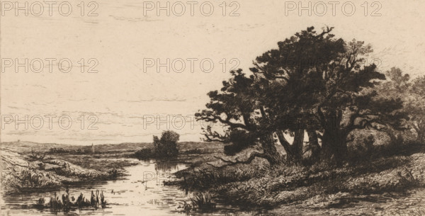 Landscape with oak trees near Wolfheze, Vieux chênes à Wolfhezen (original title), Sketches of Holland (original series title), print, number: 'N. 6', printmaker: Carel Nicolaas Storm van 's-Gravesande, c. 1880, Carel Nicolaas Storm van 's-Gravesande, paper, etching, drypoint, intaglio printmaking technique, height 169 mm x width 284 mm, landscapes in the temperate zone, trees: oak, Wolfheze, A sepia-toned landscape etching showing a calm river or stream winding through low grassy banks toward the foreground, with reflections and ripples on the water surface and clumps of reeds near the near edge; to the right, a dense stand of large, leafy trees with thick trunks and tangled branches casts textured shadows and occupies much of the middle ground, while the left side opens to distant low hills and a sparse horizon under a pale, lightly marked sky.