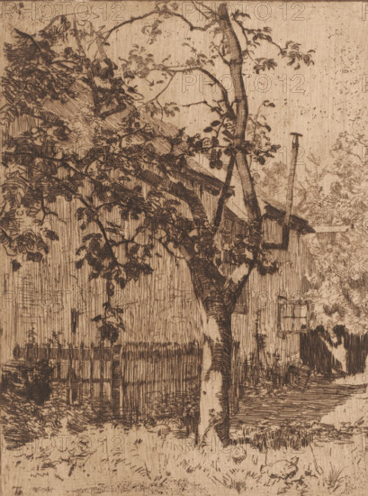 Atelier, Ewijkshoeve (original title), House behind a fruit tree, print, printmaker: Willem Bastiaan Tholen (signed by artist), 1870 - 1914, paper, zinc etching, drypoint, intaglio printmaking technique, height 243 mm x width 182 mm, rural housing, eg country-house, villa, cottage, Den Dolder, A monochrome etched scene shows a weathered wooden building partially obscured by a tall tree with branches and abundant leaves; the tree trunk rises from the foreground and leans slightly, with textured bark and foliage extending across the composition. In front of the building a vertical slatted fence runs along the lower part of the image, and a narrow doorway or window opening is visible on the building’s side. Rooflines and a slender vertical post or pole project upward behind the tree, and dense shrubbery and foliage cluster near the right edge. The ground in the foreground contains grass, scattered leaves, and rough textures, and varied cross-hatched lines and stippling create tonal shifts...
