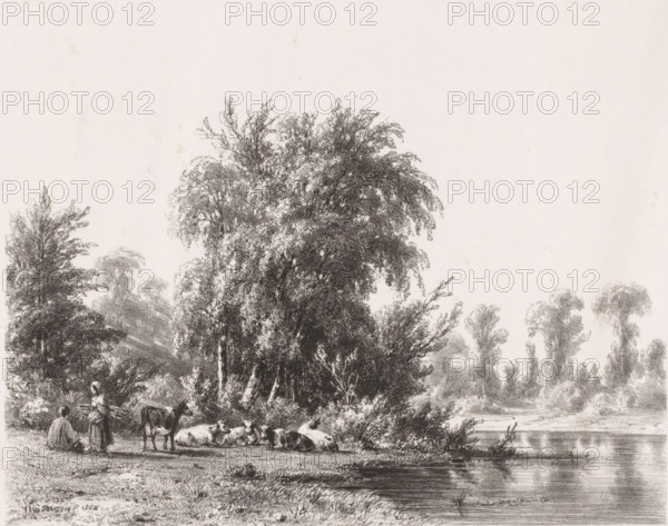 Resting herd by the water, print, On the left by the herd, a man and a woman. The woman is carrying a bundle of wood., printmaker: Jacob Jan van der Maaten, printer (person): Royal Dutch Lithographic Printing House of CW Mieling, The Hague, 1852, printer (person), paper, lithography, lithografie, height 365 mm x width 542 mm, bovine cattle, woodgathering, woodgatherer, river (landscape with figures, staffage), herd, flock, A monochrome landscape showing a riverside scene with tall leafy trees occupying the center and left, their branches and foliage rendered in detailed shading, a calm stretch of water on the right reflecting light, grassy riverbank in the foreground, a group of grazing and reclining cows near the trees, and two women near the animals with one standing and the other seated, all depicted with fine pencil or charcoal strokes.