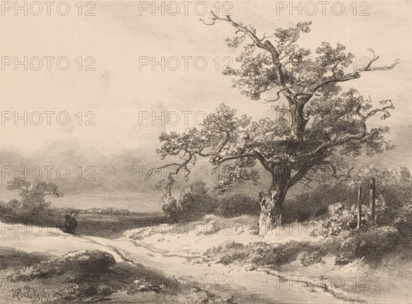 Landscape, print, In a landscape with a tree on the right, a figure walks in the background on a path., printmaker: Willem Roelofs (I), printer (person): Royal Dutch Lithographic Printing House of CW Mieling, The Hague, 1847, printer (person), paper, lithography, height 238 mm x width 316 mm, landscapes (landscape with figures, staffage), A sepia-toned landscape drawing featuring a large, gnarled tree with textured bark and sprawling branches dominating the right side, its leaves rendered in dense, shaded clusters. A winding dirt path travels from the foreground toward the middle distance, bordered by low grasses and irregular ground contours. In the left middle distance a small figure stands near the edge of the path next to a low hill or mound, and distant trees and foliage form a darker horizon band beneath a pale, lightly shaded sky. The overall image shows varied pencil or charcoal shading with fine crosshatching and smudged tones creating depth and texture.