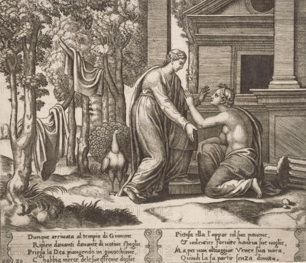 Juno refuses help to Psyche, Story of Amor and Psyche, print, Series number, 20, 32, On the right, the kneeling Psyche asking the goddess Juno for help. On the left stands Juno with the peacock beside her. Italian text in two cartouches in the lower margin. Numbered twice lower left: 20., printmaker: Master of the Dice, Italy, after design by Michiel Coxie (I), c. 1530 - c. 1560, paper, engraving, intaglio printmaking technique, engraving with plate tone, height 199 mm x width 229 mm, A detailed black and white engraving shows a wooded scene beside a classical building with columns and steps; two robed figures occupy the foreground, one standing and leaning forward with an outstretched hand while the other kneels on the steps with raised hands and a turned-up face, both wearing flowing drapery; a peacock stands near the figures with its tail partially visible; trees with textured bark and draped cloth hang from branches on the left; foliage and low plants cover the ground and a carved ...