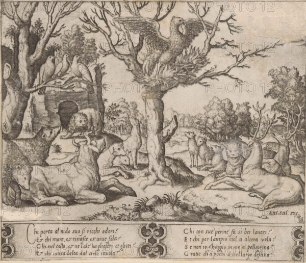 Phoenix, print, A self-immolating phoenix in a tree, surrounded by other animals including bears, dogs, and deer. Italian text in two columns in the bottom margin., printmaker: Master of the Dice, Italy, after design by Raphael (possibly), publisher: Antonio Salamanca, c. 1530 - c. 1560, paper, engraving, intaglio printmaking technique, engraving with plate tone, height 188 mm x width 222 mm, Top right corner torn off and filled with paper, colored with pen in gray and brown., fabulous animals, A detailed monochrome engraving shows a wooded clearing with a large tree at center whose bare branches spread outward and support a nest holding a large bird with outstretched wings; to the left, another tree branch holds a row of perched birds. Around the base of the trees and across the foreground are various animals including reclining and standing deer with visible antlers, several dogs or wolf-like animals in different poses, and a lion positioned near a stone archway or grotto set into a ...