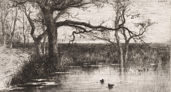 Ducks in a pond at the edge of a forest, print, printmaker: Jacques Barthélemy Appian (Adolphe) (signed by artist), France, 1883, paper, etching, drypoint, etching and drypoint, height 184 mm x width 325 mm, trees, water-birds: duck, pond, pool, A detailed monochrome etching of a waterside scene showing a large, gnarled tree in the foreground with thick branches stretching horizontally over a calm body of water, slender trees and tangled undergrowth lining the far bank, and grasses and reeds rising at the water’s edge; the surface of the water reflects the trees and reeds and contains a few small swimming ducks, while the sky is filled with fine horizontal and swirling line work and sparse, delicate foliage on some branches.