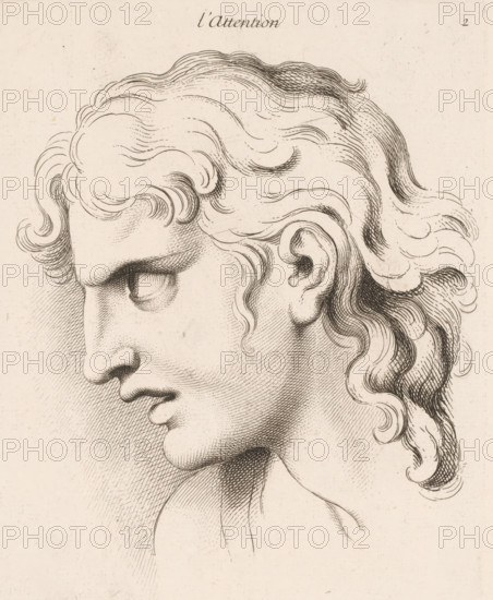 Attention, L'attention, print, book illustration, Series number, 2, 20, printmaker: Jean Audran, Paris, after drawing by Charles Le Brun, publisher: Jean Audran, grantor of privilege: Louis XV of France, 1727, Jean Audran, Charles Le Brun, Louis XV of France, printmaker, after drawing by, publisher, grantor of privilege, paper, etching, intaglio printmaking technique, height 251 mm x width 192 mm, A close-up pen-and-ink drawing of a classical profile showing the left side of a person's head and upper neck, with wavy, flowing hair rendered in curved lines and crosshatching, a prominent forehead, a deep-set eye with visible eyelid and lashes, a long straight nose, full lips, a rounded chin, and a detailed ear, all on a lightly textured, aged paper background.