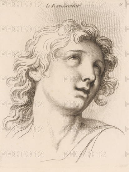 Vervoer, Le ravissement, print, book illustration, Series number, 6, 20, printmaker: Jean Audran, Paris, after drawing by Charles Le Brun, grantor of privilege: Louis XV of France, 1727, paper, etching, intaglio printmaking technique, height 258 mm x width 198 mm, A close-up ink drawing of a classical-style head and upper torso turned slightly upward and to the side, showing a youthful face with softly shaded features, full lips, a straight nose, and eyes looking upward; wavy hair flows around the head in curling strands rendered with fine lines; delicate cross-hatching and stippling create tonal shading on the forehead, cheeks, neck, and collarbone; a draped garment is suggested on one shoulder with simple contour lines; the background is plain with subtle linear shading behind the head.