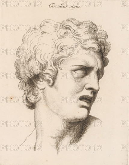 Acute pain, Douleur aigue, print, book illustration, Series number, 10, 20, printmaker: Jean Audran, Paris, after drawing by Charles Le Brun, grantor of privilege: Louis XV of France, 1727, paper, etching, intaglio printmaking technique, height 254 mm x width 197 mm, A close-up line drawing of a classical sculpture head and neck rendered in fine dark lines on a light aged paper background, showing curly hair with detailed wavy locks, a furrowed brow and a partially open mouth, shaded contours around the eye, cheek, jaw and neck created by parallel hatching, and small specks and faint stains on the paper surface.