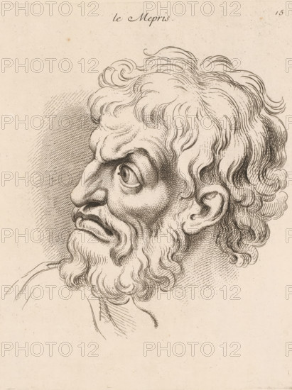 Contempt, Le mépris, print, book illustration, Series number, 15, 20, printmaker: Jean Audran, Paris, after drawing by Charles Le Brun, grantor of privilege: Louis XV of France, 1727, paper, etching, intaglio printmaking technique, height 248 mm x width 192 mm, A detailed ink drawing of an older man's head in profile facing left, showing a pronounced nose, furrowed brow, wide eye, and a downturned mouth; he has wavy hair and a full curly beard rendered with fine crosshatching and flowing lines, and an ear partially visible beneath the hair; the background is lightly textured with crosshatched shading behind the head and the overall page has an aged, slightly speckled paper appearance.