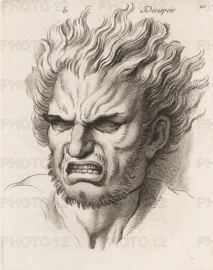 Le désespoir, Despair, print, book illustration, Series number, 20, printmaker: Jean Audran, Paris, after drawing by Charles Le Brun, grantor of privilege: Louis XV of France, 1727, paper, etching, intaglio printmaking technique, height 249 mm x width 193 mm, A detailed ink drawing of a man's head and upper neck with wild, wavy hair standing on end, deeply furrowed brow, narrowed eyes, clenched teeth visible through curled lips, a short beard and stubbled cheek, and strong crosshatched shading emphasizing contours and shadows.