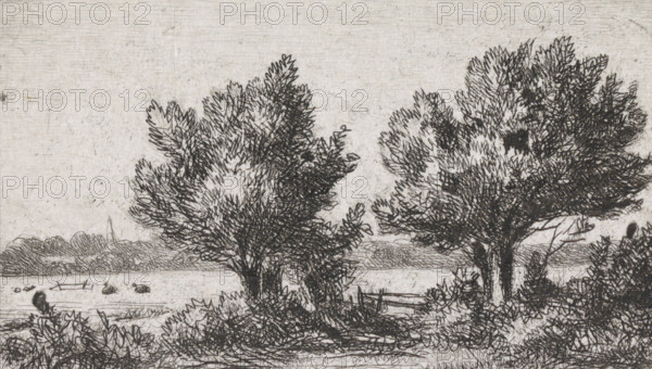 Trees in a meadow landscape, print, printmaker: Jacob Jan van der Maaten, The Hague, 1851, paper, chine collé, etching, etching on chine collé, proof print, height 52 mm x width 86 mm, meadow, pasture, trees, A monochrome sketch showing a landscape with two large leafy trees in the foreground, their textured branches and foliage rendered with dense crosshatched lines, a low fence and bushes at the base of the trees, a stretch of water or open ground behind them with small rounded shapes near the surface, a distant shoreline with low vegetation and a slender vertical structure rising from it, and a lightly textured sky above.
