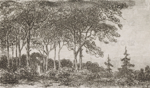 Woman by a row of trees, print, A wooded landscape with a woman with a basket on her back in the foreground on the left., printmaker: Jacob Jan van der Maaten, Netherlands, 1830 - 1879, paper, chine collé, etching, etching on chine collé, height 51 mm x width 86 mm, trees, forest, wood (landscape with figures, staffage), A detailed monochrome drawing of a wooded scene showing tall slender trees with dense leafy canopies and textured trunks, clustered shrubs and undergrowth at the base, a small body of water in the foreground with reflected lines, and two smaller coniferous trees on the right, all rendered with fine crosshatched and linear strokes across a mottled background.