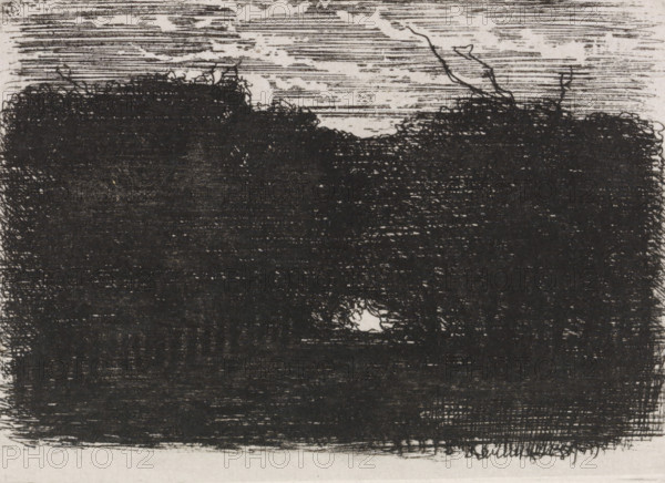 Forest at night, print, signature, printmaker: Joseph Hartogensis (signed by artist), Netherlands, 1830 - 1879, paper, chine collé, etching, etching on chine collé, height 55 mm x width 76 mm, night, A dense, dark mass of closely crosshatched strokes fills the lower portion of the image, with rough, irregular edges and a textured surface; above it, lighter horizontal lines and scattered small white patches form a layered sky area, and thin, spindly branchlike lines extend upward from the dark mass into the lighter region.