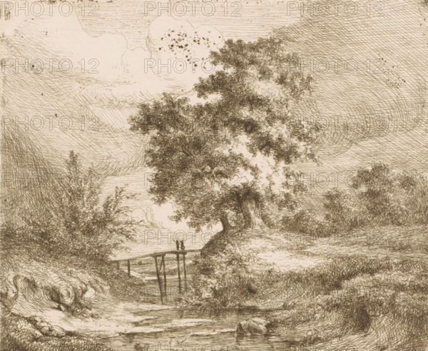 Landscape with wooden bridge over the water, print, printmaker: attributed to Ildephonse Stocquart, 1829 - 1879, Attributed to, paper, etching, retroussage, intaglio printmaking technique, height 185 mm x width 223 mm, landscape with bridge, viaduct or aqueduct, brook (landscape with figures, staffage), A sepia-toned etching shows a natural scene with a large, leafy tree dominating the center, its textured foliage rendered with dense crosshatching. A narrow stream runs beneath a simple wooden bridge visible in the middle distance, with two small vertical posts on the bridge. Grassy banks and rocky ground flank the water, and smaller bushes and trees appear on either side. The sky above contains large, billowing clouds and fine linear shading, and the overall image is composed of intricate line work and varied hatch patterns.
