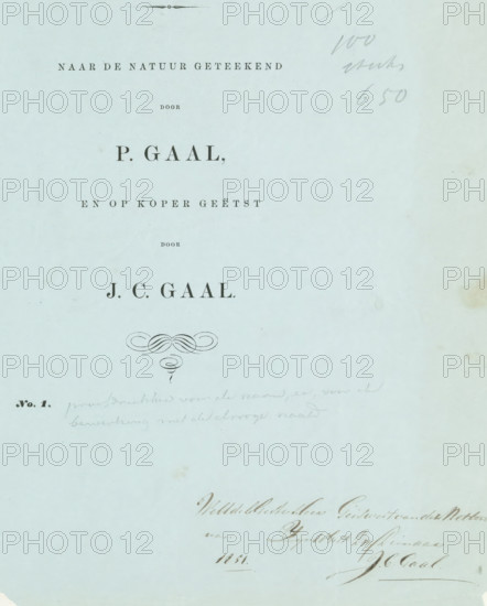 Cover for: Collection of studies. Drawn from nature by P. Gaal, and etched on copper by JC Gaal, wrapper, dedication: 'Noble Mr. Geisweit van der Netten of ... your servant JC Gaal 1851', dedicated by: Jacobus Cornelis Gaal, Netherlands, c. 1850 - c. 1865, printer (person), paper, letterpress printing, letterpress on blue paper, height 320 mm x width 493 mm, A pale blue sheet with printed and handwritten dark marks arranged vertically, featuring centered dark printed lines and a decorative flourish toward the middle, faint pencil scribbles near the top right, a darker handwritten signature and cursive writing near the lower right, and small printed decoration and faint pencil notes near the lower left, all on a slightly textured background with a few small spots and areas of discoloration.
