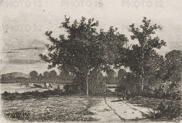 Country road, print, printmaker: Jan Heppener, The Hague, c. 1841 - 1898, paper, chine collé, etching, etching on chine collé, height 59 mm x width 87 mm, landscapes (landscape with figures, staffage), A monochrome etched landscape depicting a foreground path leading toward a pair of large, leafy trees at the center, flanked by additional trees and dense shrubbery, with textured grassy fields in front and layered horizontal marks suggesting distant ground and sky behind; a body of water sits beyond the trees with small indistinct shapes on its surface, low rolling hills are visible on the left horizon, and varied linework creates shadowed foliage, tree trunks, and foreground vegetation across the scene.