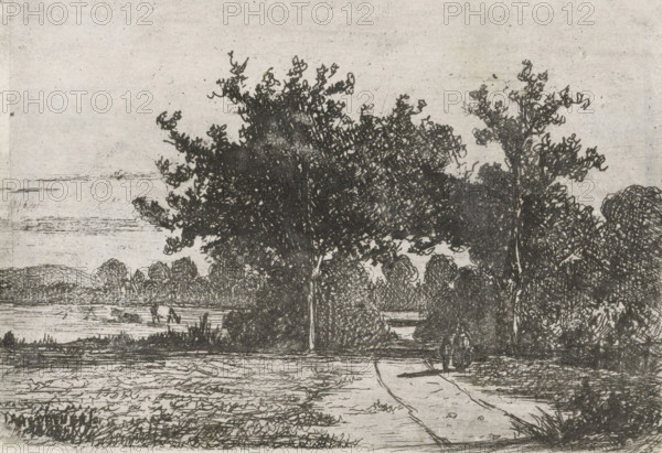 Country road, print, printmaker: Jan Heppener, The Hague, c. 1841 - 1898, paper, chine collé, etching, etching on chine collé, height 59 mm x width 87 mm, landscapes (landscape with figures, staffage), A monochrome sketch of a landscape showing a pathway leading toward a stand of large trees with dense foliage, flanked by bushes and smaller vegetation, with a body of water visible beyond and a distant shoreline with low hills, the foreground containing textured grass and a strip of shaded ground, and the sky rendered with light horizontal marks.