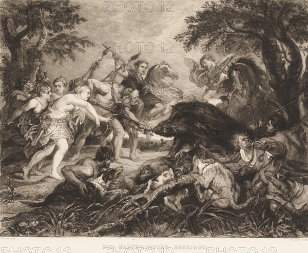 Die Kalydonian Eberjagd, Hunting the Calydonian Boar, print, printmaker: William Unger, after painting by Peter Paul Rubens, printer (person): A. Pisani, publisher: Hugo Othmar Miethke, Vienna, 1861 - 1889, printer (person), Lower Austria, paper, chine collé, etching, intaglio printmaking technique, height 296 mm x width 379 mm, boar-hunting, A densely detailed black and white etching shows a chaotic outdoor scene with many people and animals clustered together. Figures wearing draped garments and tunics strain and reach forward with spears and ropes toward a large wild boar at the center, its bristled body and open snout prominent. Several men grasp ropes tied around the boar or hold spears poised to strike, their muscles and tense expressions visible. A man on horseback raises a spear from the right side, the horse rearing slightly and showing a wide eye and flowing mane. Dogs and other animals appear amid the crowd, some at the foreground near fallen carcasses and entangled limbs. T...