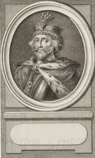 Portrait of Floris V, Count of Holland and Zeeland, print, printmaker: Reinier Vinkeles (I), Amsterdam, after drawing by Jacobus Buys, 1786, paper, etching, engraving, height 235 mm x width 150 mm, Later state print used as book illustration in: Kok, Jacobus. Vaderlandsch woordenboek : met kaarten, platenen en porttraitten. Amsterdam: Johannes Allart, 1785-1796. Volume XV., Person, Floris V (Count of Holland and Zeeland), An engraved oval portrait of a bearded man wearing a jeweled crown topped with feathers is set within a decorative frame; the man has wavy hair, a mustache, and a trimmed beard, and he wears a fur-lined cloak fastened with an ornate brooch and a chain with a pendant, all rendered with fine crosshatching and parallel lines against a textured background and a pedestal-like base below the oval.