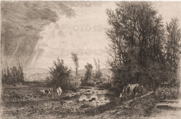 Landscape with cows along a brook, print, printmaker: Alfred Alexandre Delauney, France, 1872, paper, chine collé, etching, drypoint, intaglio printmaking technique, drypoint and plate tone on chine collé, height 219 mm x width 327 mm, landscapes in the temperate zone, cow, brook, A monochrome landscape etching showing a wide sky with textured clouds and a band of heavier shading at one side, a cluster of tall leafy trees occupying one side and smaller bushes and saplings scattered across the midground, a shallow stream or wet channel running toward the foreground with rocks and ripples, several grazing cows near the water and along the banks, a distant low ridge or hills on the horizon, and fine crosshatched lines and detailed strokes throughout the image creating varied tones and textures.