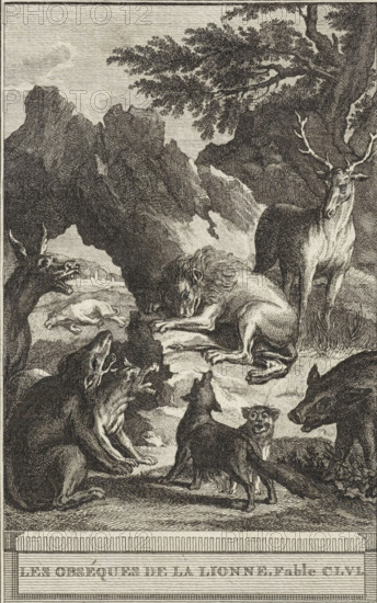The Obsessed with the Lion. Fable CLVL, Funeral of the Lion's Wife, print, All kinds of animals have gathered at the lion. Illustration of Fable CLVL The Obsessed with the Lion., printmaker: Reinier Vinkeles (I), Amsterdam, 1772, Reinier Vinkeles (I), printmaker, paper, etching, height 215 mm x width 125 mm, Print probably used as an illustration in one or more editions of: La Fontaine, Jean de. Choices of Fies. Amsterdam: J. van Gulik, 1802., beasts of prey, predatory animals: lion, ass, donkey, hoofed animals: boar, predatory animals: fox, hoofed animals: deer, funeral parlor, A detailed engraved scene shows a lion lying with its head lowered and paws extended on a rocky surface near a cave opening, surrounded by multiple canid-like animals baring teeth and howling, a stag standing nearby with antlers and an alert posture, a tree with leafy branches arching overhead, rugged rock formations in the background, and varied ground vegetation and textures.