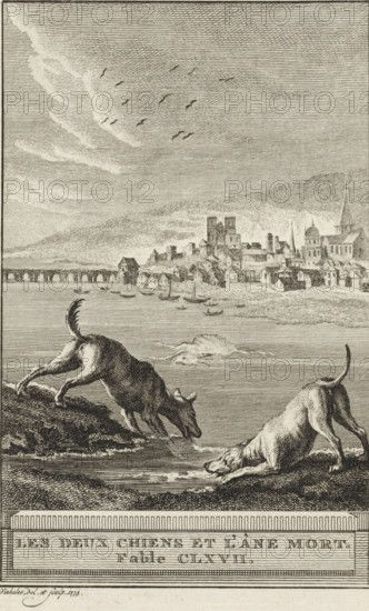 The Two Dogs and the Dead Donkey. Fable CLXVII, The Dogs and the Donkey, print, Two dogs are drinking water from a river in which a dead donkey lies. A village is visible in the background. Illustration of Fable CLXVII, The Two Dogs and the Dead Donkey., printmaker: Reinier Vinkeles (I), Amsterdam, 1773, paper, etching, height 215 mm x width 126 mm, Print probably used as an illustration in one or more editions of: La Fontaine, Jean de. Fables choisies. Amsterdam: J. van Gulik, 1802., dog, river, ass, donkey, village, A detailed monochrome engraving shows a waterfront scene with two dogs in the foreground near the water’s edge, one dog leaning down to drink and the other stepping down a slope toward the water, both with visible muscle and fur texture. Behind them a body of water extends toward a distant town made up of clustered buildings, towers, and spires set against rolling hills, with small boats floating on the water near the shore. A long arched bridge spans part of the water to...
