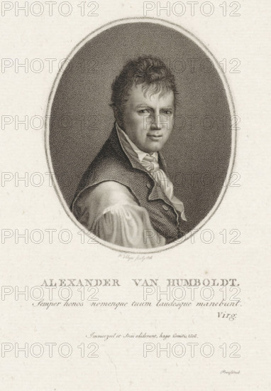 Portrait of Alexander van Humboldt, print, physicist and botanist., FMP 2650-b, printmaker: Philippus Velijn, publisher: Immerzeel & Comp., The Hague, 1808, paper, etching, engraving, height 243 mm x width 150 mm, Person, Alexander von Humboldt, An oval framed black and white engraved portrait of a man shown from the chest up, facing slightly toward the viewer's left, with short wavy hair and a serious facial expression, wearing a high-collared shirt with a neck cloth and a dark textured coat, set against a stippled dark background and surrounded by a light paper margin.