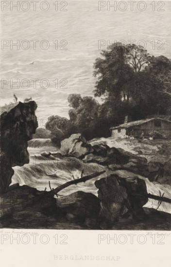 Mountain landscape, Mountain landscape with a river and waterfall, print, book illustration, Landscape with a river and waterfall. Goats on a rocky outcrop on the left. A hut on the other side of the water., printmaker: Willem Steelink (II), after painting by Allaert van Everdingen, printer (person): Roeloffzen & Hübner, publisher: Holkema & Warendorf, Van, Amsterdam, 1888 - 1891, printer (person), paper, chine collé, etching, drypoint, etching and drypoint on chine collé, height 350 mm x width 259 mm, A monochrome landscape depicting a rocky river scene with churning water flowing over and around large boulders, a fallen log crossing the foreground, tall trees and dense foliage rising on the right bank, and a simple wooden cabin nestled among the trees with indistinct figures or objects near it; a high cliff stands on the left with a figure and an animal silhouetted at its edge, and a single bird is visible flying in the textured sky above.