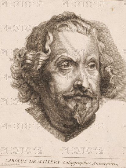 Portrait of Karel van Mallery, print, printmaker: Suzanne Silvestre, after painting by Anthony van Dyck, 1704 - 1738, paper, engraving, etching, height 258 mm x width 195 mm, Person, Karel van Mallery, historical persons, portrait, self-portrait or graphic artist, A detailed engraved head and shoulders of a man with wavy hair framing his face and a narrow pointed beard, rendered in fine crosshatching and line work on a light paper background, showing pronounced eyebrows, deep-set eyes with visible pupils, a prominent nose, and textured hair curls that flow around his temples and ears, with shading beneath the chin and around the neck and a plain area of paper below the portrait.