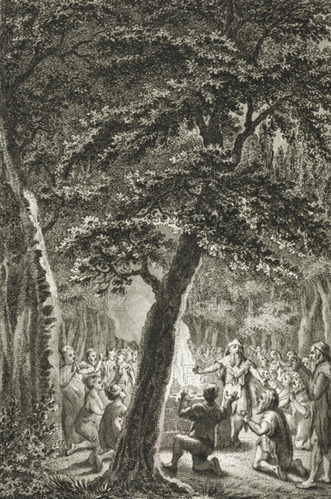 Religious practice among the Batavians, print, history print, Religious practice among the Batavians., printmaker: Reinier Vinkeles (I), Netherlands, after drawing by Engelbertus Matthias Engelberts, 1788 - 1790, paper, etching, height 231 mm x width 154 mm, Illustration from: EM Engelberts, The ancient state and histories of the United Netherlands, Johannes Allart, Amsterdam 1784-1799, vol. III, p. 86. Comes before the letter., Germanic and Scandinavian religions, extinct, 'historical' peoples (with NAME), Roman period in the Netherlands, A detailed black and white engraving shows a large tree with a thick trunk and dense foliage dominating the foreground, its branches and leaves spreading across the upper area. Beneath the tree a group of people gather around a central figure who stands with outstretched arms; several others kneel or sit nearby with upraised hands and expressive gestures. The crowd fills the midground and extends into the background among more trees, where trunks and...