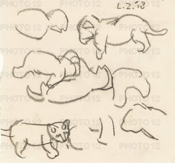 Sketches of a lion cub, drawing, draftsman (artist): Lambertus Zijl, 1918, draftsman (artist), inorganic material, paper, chalk, black chalk, height 139 mm x width 150 mm, beasts of prey, predatory animals: lion, A sheet of textured paper with multiple loose charcoal sketches of animal forms, showing rounded backs, curved tails, floppy ears, and simple facial outlines, rendered with rough dark strokes and varying pressure, with some sketches overlapping and partial figures along the edges.