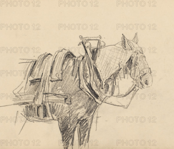 Harnessed cart horse, drawing, draftsman (artist): Pieter HJJ Ras, 1903-07-02, draftsman (artist), inorganic material, paper, chalk, black chalk, height 151 mm x width 213 mm, horse, A charcoal sketch on beige paper showing the rear half of a saddled horse with visible tack and straps, a close-up of the horse's head in profile with ears pricked and simple facial shading, and loosely drawn blankets or packs on the horse's back with textured, sketchy strokes.