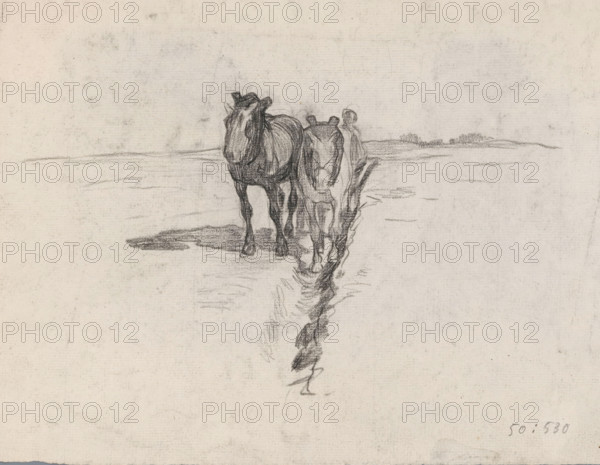 Team of horses along a ditch, drawing, draftsman (artist): Pieter de Josselin de Jong, 1871 - 1906, draftsman (artist), inorganic material, paper, chalk, black chalk, height 220 mm x width 293 mm, horse, A pencil sketch of two horses standing on a flat expanse with their reflections faintly drawn below them, the horses facing forward with visible harnesses and shaded musculature, one slightly in front of the other, with faint horizon lines and low distant vegetation behind them, all rendered on textured paper.