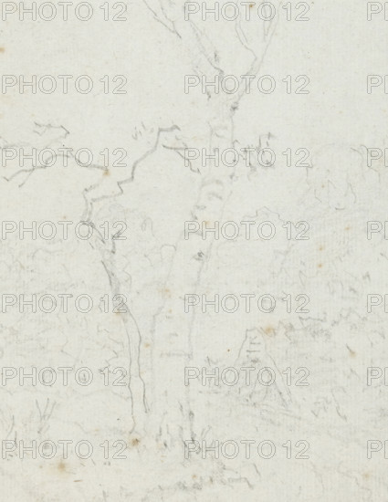 Landscape with widely branched tree, drawing, Album page with landscape with widely branched tree., draftsman (artist): Jean Honoré Fragonard, 1742 - 1806, draftsman (artist), paper, pencil, height 217 mm x width 168mm, trees, Pale paper with faint pencil sketches showing the trunk and branches of a tree with subtle textured bark marks, irregular leafy outlines around the tree, a narrow winding vertical line suggesting a slender stem, light smudges and small brownish spots across the surface, and very faint additional sketch lines hinting at more foliage and an angular triangular shape near the lower center.