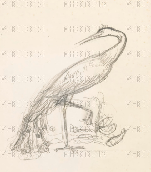 Heron at the water with two fish at its talons, drawing, watermark: 'GW, PAPIER, 1671', draftsman (artist): Leo Gestel, 1891 - 1941, draftsman (artist), paper, pencil, height 260 mm x width 210 mm, shore-birds and wading-birds: heron, A pencil sketch of a large bird with a long curved neck and pointed beak, showing a rounded head with a visible eye and a dark patch above it, a streamlined body with textured feather lines, long thin legs ending in clawed feet, and a long tail area rendered with looping, scribbled strokes; beneath and around the bird there are loose sketch marks suggesting tangled shapes and smaller curved forms, all drawn on a pale, lightly speckled background.