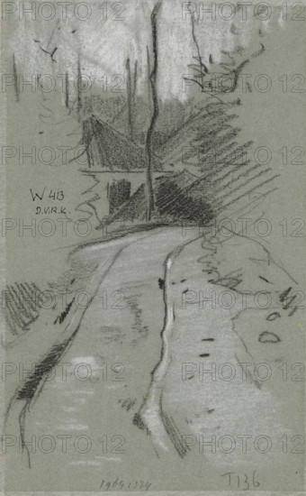Country road, drawing, number: 'T 136', draftsman (artist): Willem Witsen, 1870 - 1923, draftsman (artist), inorganic material, paper, chalk, black and white chalk on blue paper, height 208 mm x width 128 mm, forest, wood, A narrow charcoal sketch on gray paper depicting a winding road or path running from the foreground toward the background, flanked by rough, sketchy vegetation and brush on either side, with a tall, thin tree trunk rising near the center and suggested vertical lines of other slender trunks in the background, areas of darker shading indicating denser foliage, and lighter smudged tones suggesting sky or distant light.