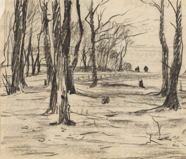 Trees in winter landscape, drawing, draftsman (artist): Willem Witsen, 1870 - 1923, draftsman (artist), inorganic material, paper, chalk, height 137 mm x width 158 mm, trees, A charcoal sketch of a wooded landscape showing tall, slender tree trunks and bare branches in the foreground and midground, with textured ground shading and scattered fallen sticks, a distant shoreline or open area visible through the trees, and a few small dark figures or shapes near the horizon.