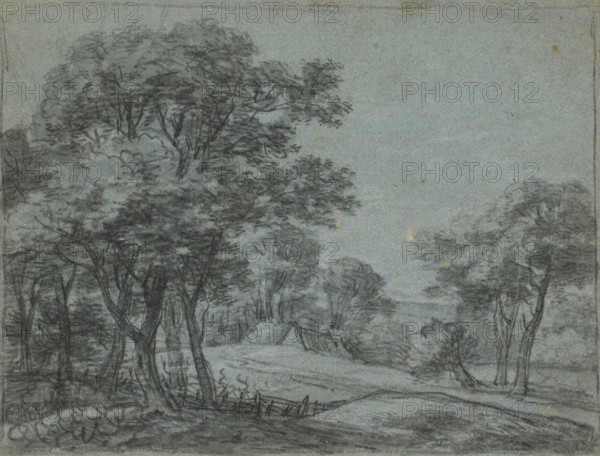 Hill landscape with the roof of a house, drawing, draftsman (artist): Simon de Vlieger, 1610 - 1653, draftsman (artist), inorganic material, paper, chalk, black and white chalk on blue paper, height 219 mm x width 290 mm, landscapes in the temperate zone, A monochromatic pencil or charcoal drawing of a wooded landscape showing clusters of tall trees with leafy canopies and visible trunks, uneven ground with a winding path or stream, a simple broken wooden fence near the foreground, scattered bushes and undergrowth, and a soft open sky above, all rendered with sketchy, layered strokes on textured paper.