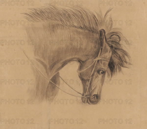 Head of a horse, facing right, drawing, draftsman (artist): Johannes Tavenraat, 1819 - 1881, draftsman (artist), inorganic material, paper, pencil, chalk, pencil and black chalk on brown paper, height 197 mm x width 267 mm, horse, A charcoal drawing of a horse's head and neck on tan paper showing a long mane swept back, a prominent ear, an eye with surrounding shading, a bridle with reins, and detailed shading around the muzzle and nostrils.