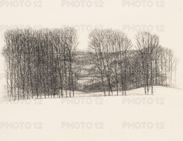 Trees in rolling landscape, drawing, draftsman (artist): Kees Stoop, 1939 - 2009, draftsman (artist), coal, organic material, paper, charcoal stick, height 269 mm x width 280 mm, groups of trees, A wide horizontal charcoal drawing of a sparse grove of tall, thin trees with bare branches concentrated across the upper middle of the page, rendered in dense vertical and textured strokes that create darker masses on the left and center and slightly lighter groupings on the right, with a pale, mostly empty background and an expanse of blank space below.
