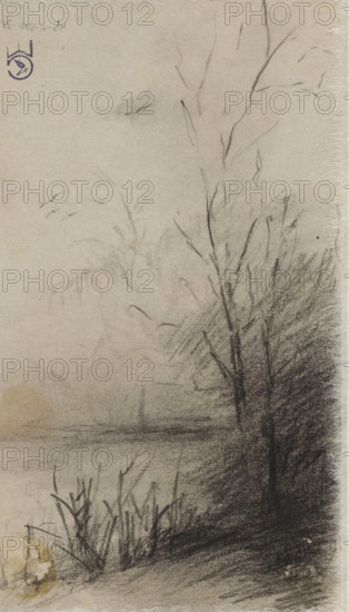 Landscape with trees along a waterfront, drawing, draftsman (artist): Johannes Gijsbert Vogel, c. 1890, draftsman (artist), inorganic material, paper, chalk, black chalk, height 192 mm x width 113 mm, trees, landscapes with waters, waterscapes, seascapes (in the temperate zone), A vertical charcoal sketch of a misty waterside scene featuring bare, tall trees and dense, dark underbrush along the right edge, with softer, faint outlines of distant trees and branches fading into the background; the foreground shows textured grasses and reeds by the water's edge and smudged reflections on the water surface, while the paper has a visible fibrous edge and a small irregular discoloration near the lower left corner.